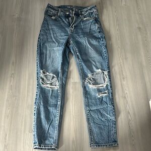 american eagle mom jeans size 2